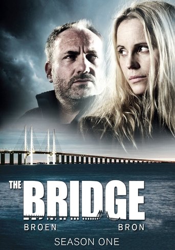 The Bridge (2011) Hindi Season 1 Complete